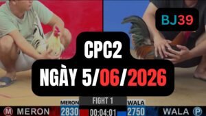 Video đá gà CPC2 Thomo hôm nay 5-06-2026