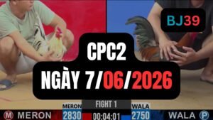 Video đá gà CPC2 Thomo hôm nay 7-06-2026