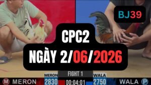 Video đá gà CPC2 Thomo hôm nay 2-06-2026