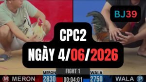 Video đá gà CPC2 Thomo hôm nay 04-06-2026