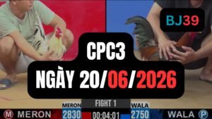 Video đá gà CPC3 Thomo hôm nay 20-06-2026