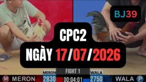 Video đá gà CPC2 Thomo hôm nay 17-07-2026