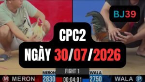 Video đá gà CPC2 Thomo hôm nay 30-07-2026