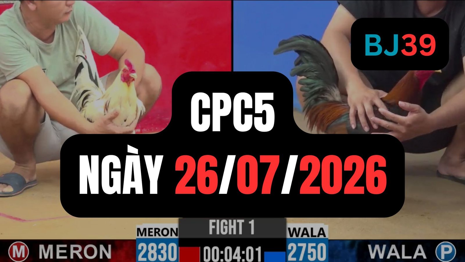 Video đá gà CPC5 Thomo hôm nay 26-07-2026